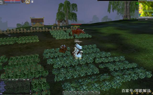 热血江湖新开sf